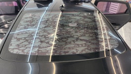 티벡스 레이노 논산차사랑