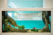 피코 키즈풀빌라 부산