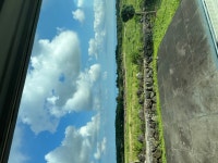 편백숲마을더포레스트