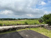 편백숲마을더포레스트