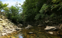 데미샘힐링빌리지