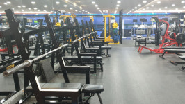 알통클럽 휘트니스