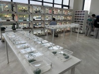 대전파충류샵 히스