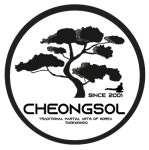 청솔태권도