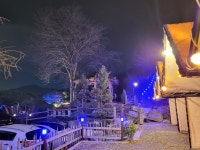 물왕숲캠핑파크