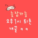 캠프241