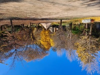 일영스타캠핑장