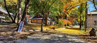 일영스타캠핑장