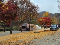 미산가족오토캠핑장