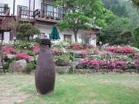 평창 별이빛나는밤에
