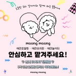 뭉뭉이네 애견유치원&호텔 놀이터