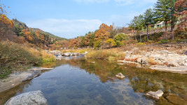 더아리웃집풀빌라
