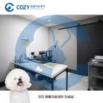 코지동물의료센터 인천서구청점