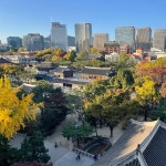 연세돌담치과의원