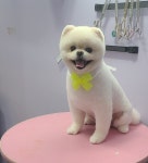 까르르멍멍 동구점