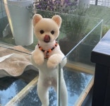 까르르멍멍 동구점