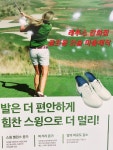 레푸스 강화점
