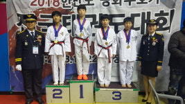 고려대솔빛태권도