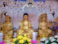 홍주신당