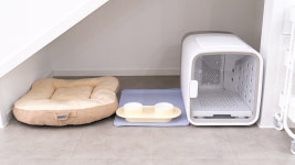 하루멍 애견펜션