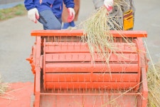 보령솔머랭이농장