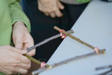 보령솔머랭이농장