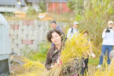 보령솔머랭이농장