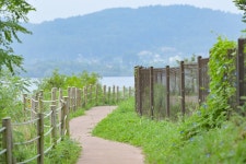 보령솔머랭이농장