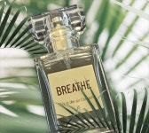 제이에스코리아