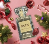 제이에스코리아