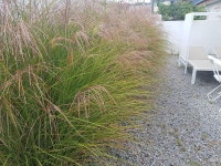 스테이해연 양양감성 단독 독채펜션