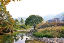 파프리카 펜션 레드