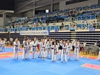 용인대석사 대호 태권도