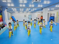 용인대석사 대호 태권도