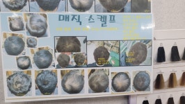 퀸즈헤나교실