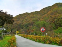 파프리카 펜션 레드