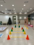 욜로독애견유치원