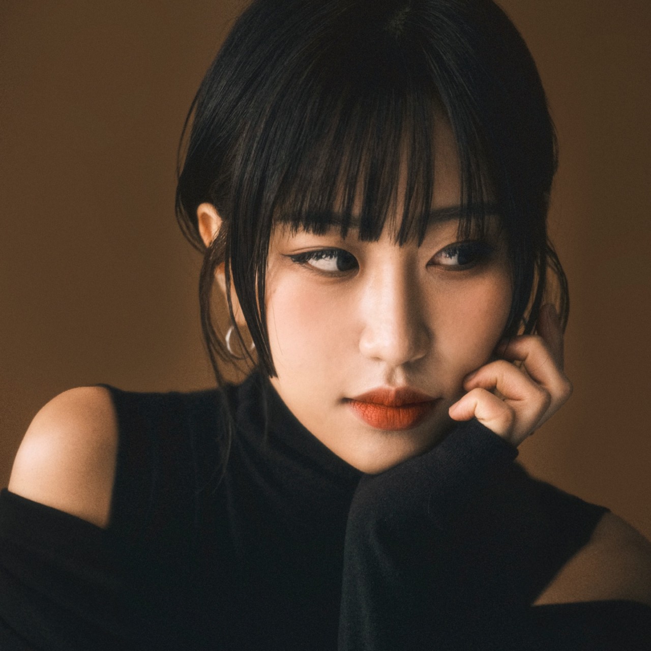 덴헤어 이미지