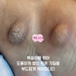 예쁨한스푼