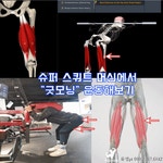 트레인휘트니스 유성점