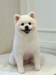 멍그라미