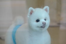 멍그라미