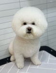 멍그라미