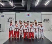 성균관대선진태권도