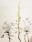 마루화실미술교습소