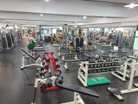 신세계스포렉스