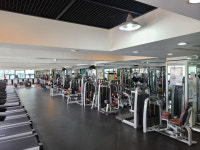 신세계스포렉스