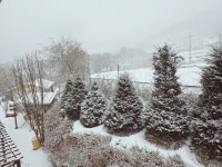 파프리카 펜션 레드