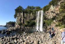 제주파비오