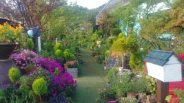 프로방스캠핑장